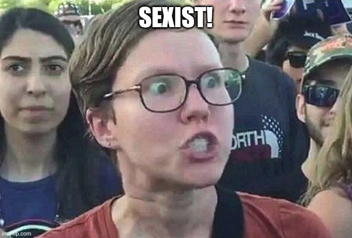 Triggered Liberal | SEXIST! | image tagged in triggered liberal | made w/ Imgflip meme maker