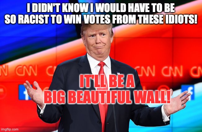 Donald Trump Confused | I DIDN'T KNOW I WOULD HAVE TO BE SO RACIST TO WIN VOTES FROM THESE IDIOTS! IT'LL BE A BIG BEAUTIFUL WALL! | image tagged in donald trump confused | made w/ Imgflip meme maker
