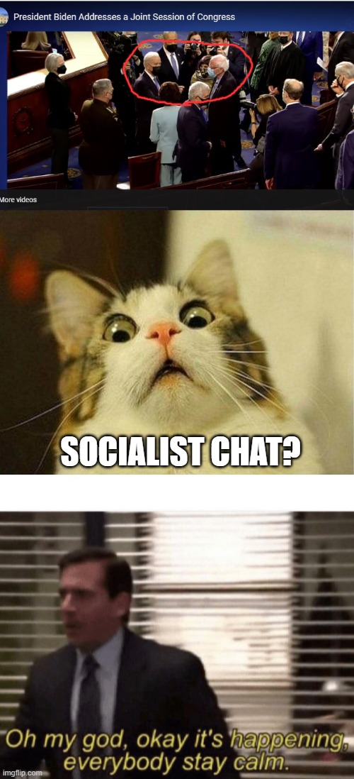 Right before the footage ends... | SOCIALIST CHAT? | image tagged in memes,scared cat,oh my god okay it's happening everybody stay calm,joe biden,bernie sanders,political meme | made w/ Imgflip meme maker