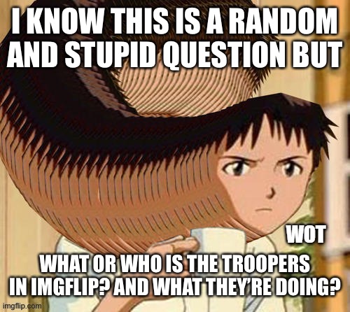 Wot | I KNOW THIS IS A RANDOM AND STUPID QUESTION BUT; WHAT OR WHO IS THE TROOPERS IN IMGFLIP? AND WHAT THEY’RE DOING? | image tagged in wot | made w/ Imgflip meme maker