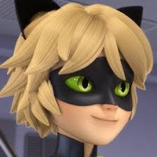 Cat nior looking to the right maraculess ladybug Blank Meme Template