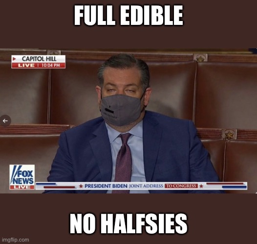 Full Edible | FULL EDIBLE; NO HALFSIES | image tagged in political meme,vacation,sleeping | made w/ Imgflip meme maker