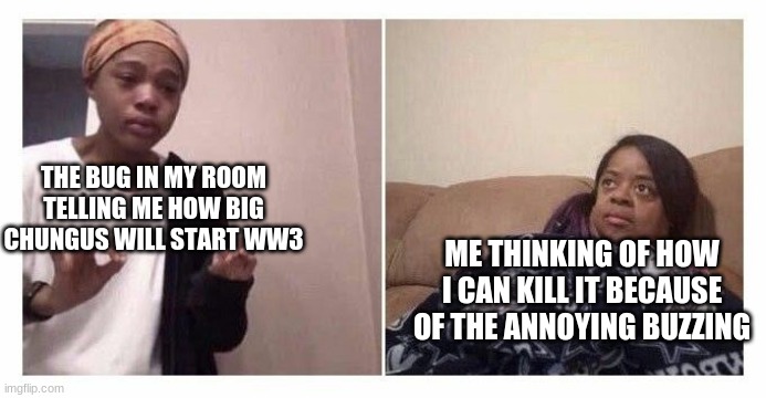 Girl Under Blanket | THE BUG IN MY ROOM TELLING ME HOW BIG CHUNGUS WILL START WW3; ME THINKING OF HOW I CAN KILL IT BECAUSE OF THE ANNOYING BUZZING | image tagged in girl under blanket,memes | made w/ Imgflip meme maker