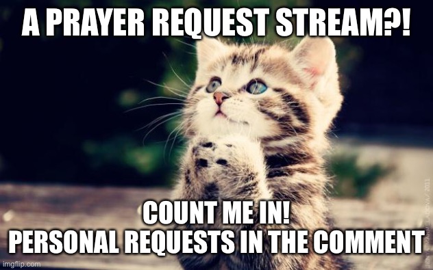 Cute Kitty |  A PRAYER REQUEST STREAM?! COUNT ME IN!
PERSONAL REQUESTS IN THE COMMENT | image tagged in cute kitty | made w/ Imgflip meme maker