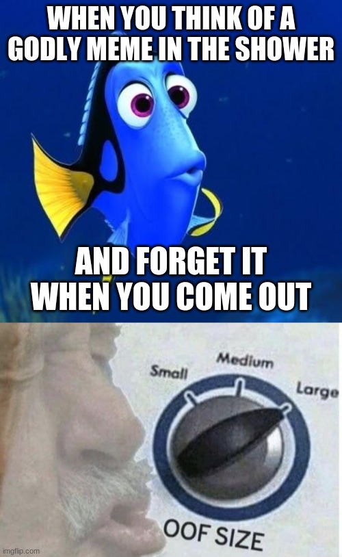 WHEN YOU THINK OF A GODLY MEME IN THE SHOWER; AND FORGET IT WHEN YOU COME OUT | image tagged in dory forgets,oof size large | made w/ Imgflip meme maker