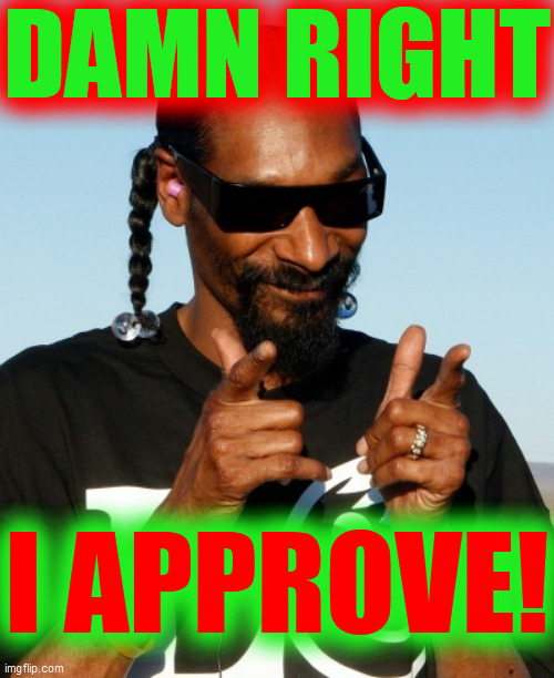 Snoop Dogg approves | DAMN RIGHT I APPROVE! | image tagged in snoop dogg approves | made w/ Imgflip meme maker