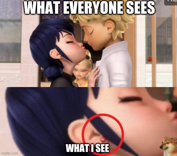 what i noticed |  WHAT EVERYONE SEES; WHAT I SEE | image tagged in what happened here,miraculous ladybug,adrinette,wow | made w/ Imgflip meme maker