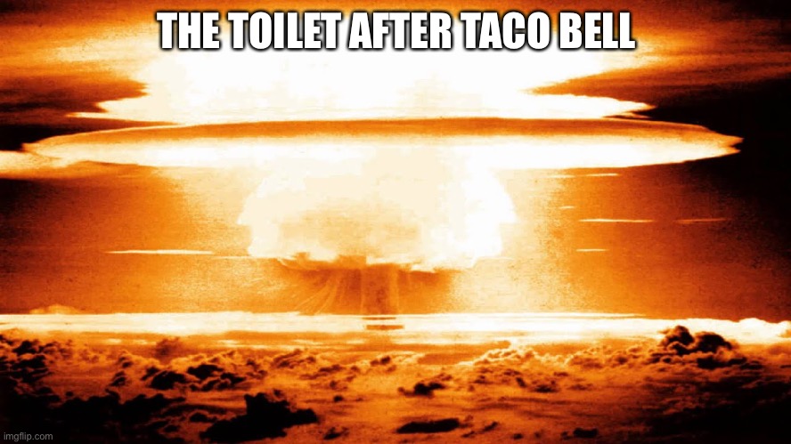 I’m sorry | THE TOILET AFTER TACO BELL | image tagged in the toilet after taco bell | made w/ Imgflip meme maker