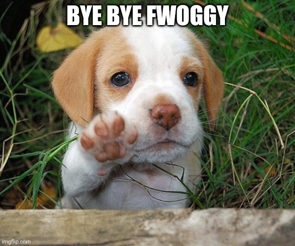 dog puppy bye | BYE BYE FWOGGY | image tagged in dog puppy bye | made w/ Imgflip meme maker