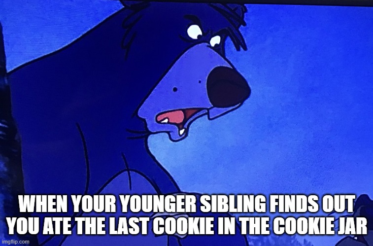 baloo | WHEN YOUR YOUNGER SIBLING FINDS OUT YOU ATE THE LAST COOKIE IN THE COOKIE JAR | image tagged in you said what | made w/ Imgflip meme maker