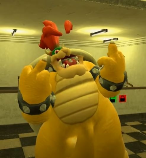 Bowser IDGAF Blank Meme Template