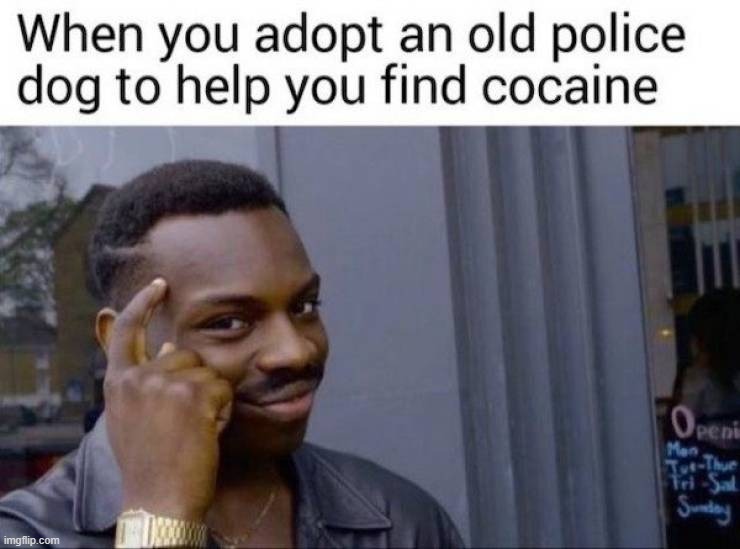 image tagged in police dogs | made w/ Imgflip meme maker