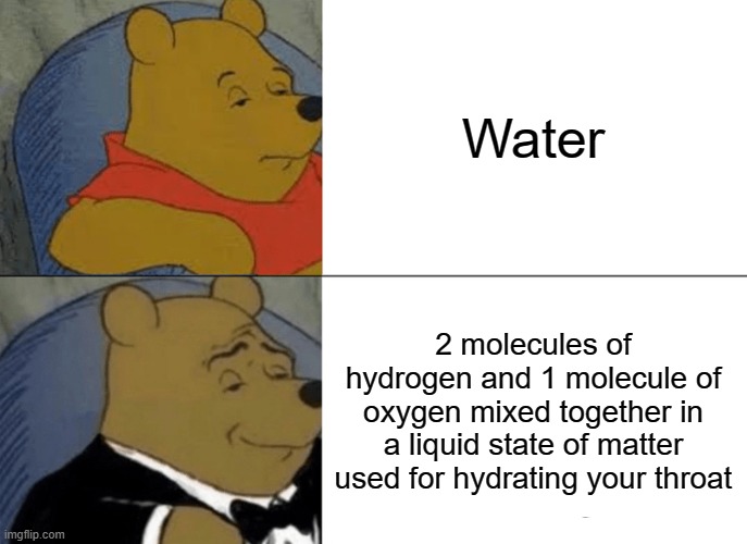 w a t e r go b r r | Water; 2 molecules of hydrogen and 1 molecule of oxygen mixed together in a liquid state of matter used for hydrating your throat | image tagged in memes,tuxedo winnie the pooh | made w/ Imgflip meme maker