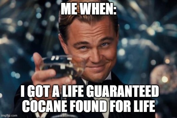 Leonardo Dicaprio Cheers Meme | ME WHEN:; I GOT A LIFE GUARANTEED COCANE FOUND FOR LIFE | image tagged in memes,leonardo dicaprio cheers | made w/ Imgflip meme maker