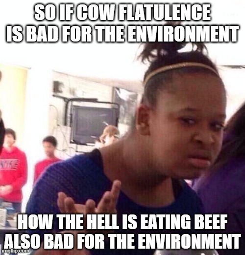 Black Girl Wat | SO IF COW FLATULENCE IS BAD FOR THE ENVIRONMENT; HOW THE HELL IS EATING BEEF ALSO BAD FOR THE ENVIRONMENT | image tagged in memes,black girl wat | made w/ Imgflip meme maker