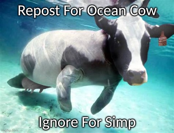 Ocean cow | Repost For Ocean Cow; Ignore For Simp | image tagged in ocean cow | made w/ Imgflip meme maker