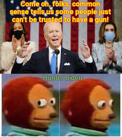 Biden's State of the Disunion Address | Come on, folks, common sense tells us some people just can't be trusted to have a gun! Hunter Biden | image tagged in monkey puppet,joe biden,state of the union,gun control,hypocrisy,hunter biden | made w/ Imgflip meme maker