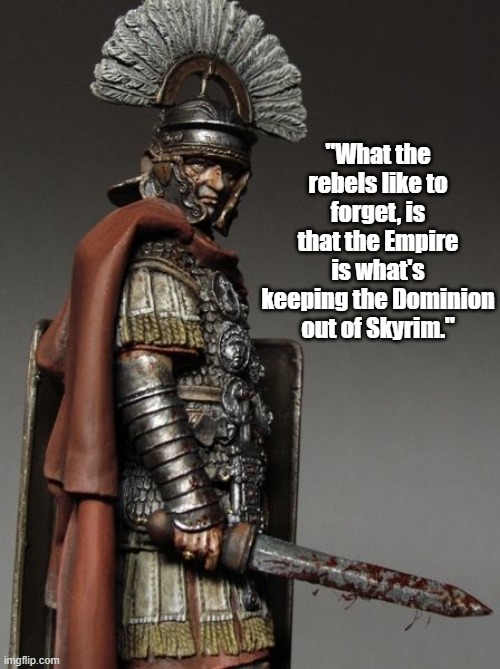 Imperial Legionnaire About Rebels | "What the rebels like to forget, is that the Empire is what's keeping the Dominion out of Skyrim." | image tagged in memes,skyrim,imperial legion | made w/ Imgflip meme maker