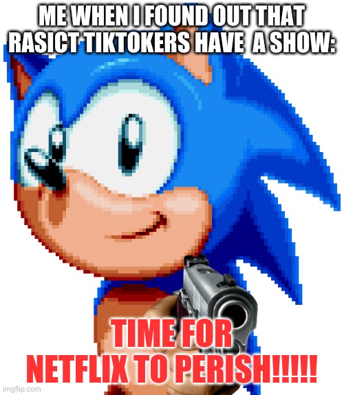 Netflix... you done f'd up. | ME WHEN I FOUND OUT THAT RASICT TIKTOKERS HAVE  A SHOW: TIME FOR NETFLIX TO PERISH!!!!! | image tagged in sonic with a gun | made w/ Imgflip meme maker
