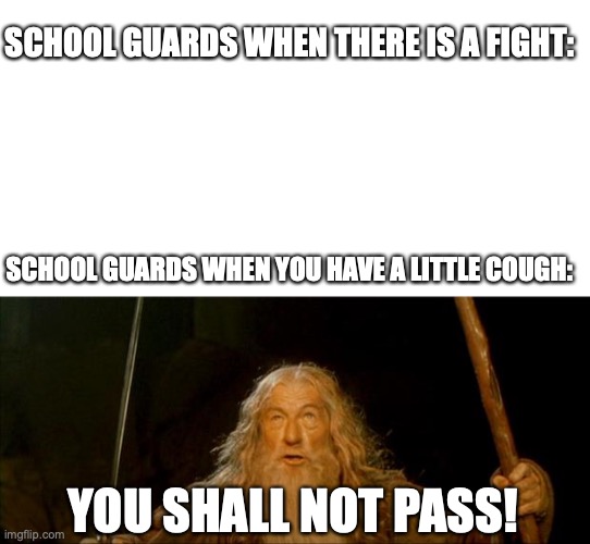School guards man | SCHOOL GUARDS WHEN THERE IS A FIGHT:; SCHOOL GUARDS WHEN YOU HAVE A LITTLE COUGH:; YOU SHALL NOT PASS! | image tagged in gandalf you shall not pass,school,covid | made w/ Imgflip meme maker