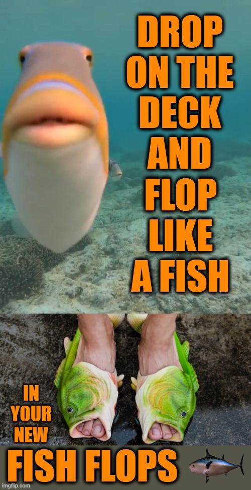 Flop in style this summer | DROP ON THE
DECK
AND; FLOP LIKE A FISH; IN YOUR NEW; FISH FLOPS | image tagged in staring fish,flip flops,fishy,fashion | made w/ Imgflip meme maker