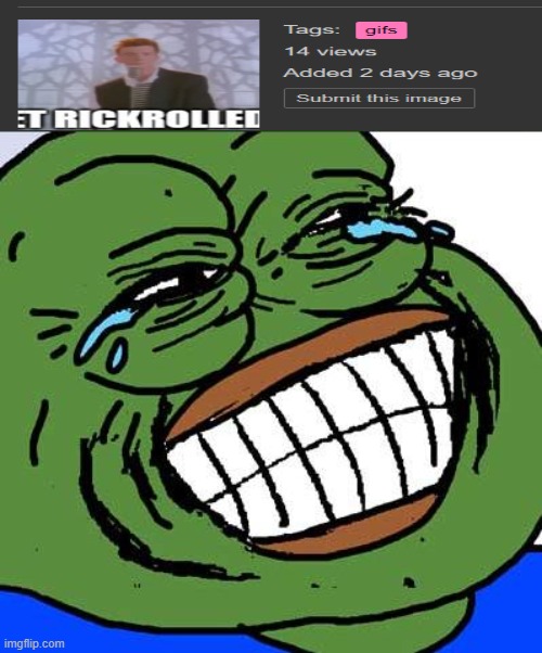 Lmao | image tagged in laughing pepe | made w/ Imgflip meme maker