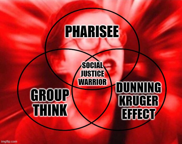 Dichotomy of a social terrorist. | PHARISEE; SOCIAL JUSTICE WARRIOR; DUNNING
KRUGER EFFECT; GROUP THINK | image tagged in triggered,witch hunters,cancel culture,sjw,baizuo | made w/ Imgflip meme maker