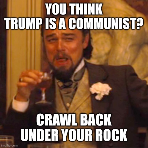 Laughing Leo Meme | YOU THINK TRUMP IS A COMMUNIST? CRAWL BACK UNDER YOUR ROCK | image tagged in memes,laughing leo | made w/ Imgflip meme maker