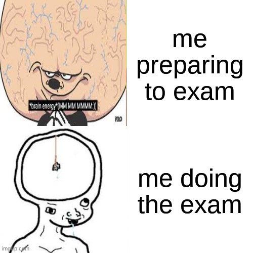 this big brain time wait nevermind it small brain time | me preparing to exam; me doing the exam | image tagged in memes,drake hotline bling | made w/ Imgflip meme maker