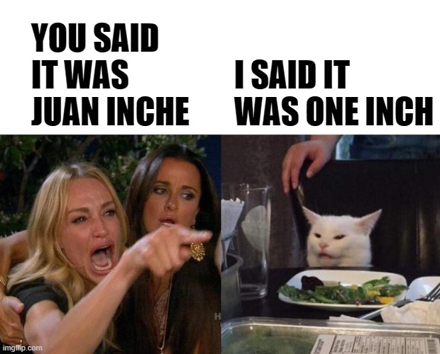 JUAN INCHE | YOU SAID IT WAS JUAN INCHE; I SAID IT WAS ONE INCH | image tagged in memes,woman yelling at cat,funny,funny memes | made w/ Imgflip meme maker