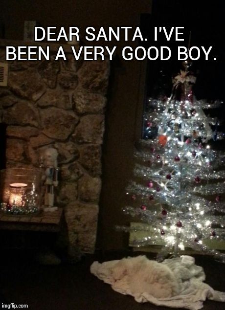 DEAR SANTA. I'VE BEEN A VERY GOOD BOY. | image tagged in cody's dream | made w/ Imgflip meme maker