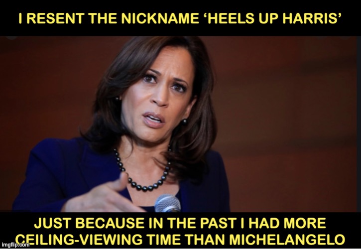 Kamala's nickname | image tagged in kamala harris | made w/ Imgflip meme maker