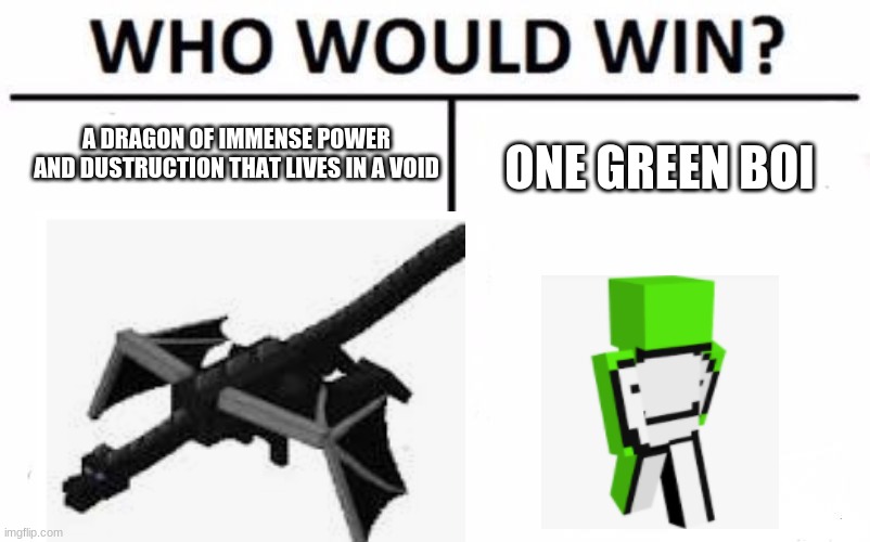 bruh | A DRAGON OF IMMENSE POWER AND DUSTRUCTION THAT LIVES IN A VOID; ONE GREEN BOI | image tagged in memes,who would win | made w/ Imgflip meme maker