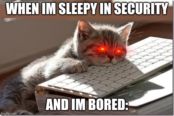 Bored Keyboard Cat | WHEN IM SLEEPY IN SECURITY; AND IM BORED: | image tagged in bored keyboard cat | made w/ Imgflip meme maker