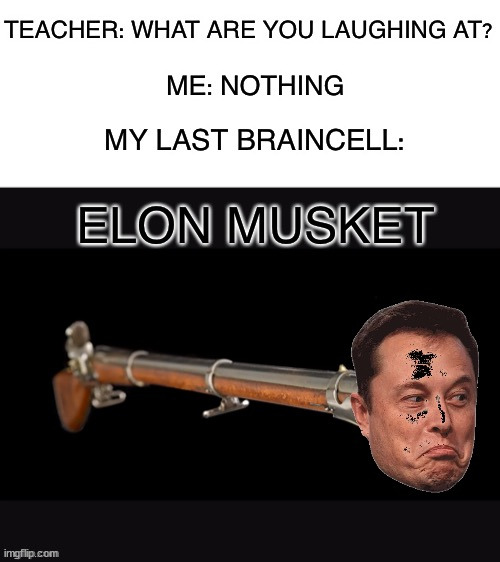 Elon Musket | image tagged in memes,funny,elon musk,musket,lmao,hahaha | made w/ Imgflip meme maker