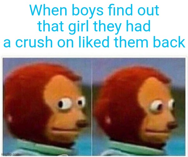 Monkey Puppet | When boys find out that girl they had a crush on liked them back | image tagged in memes,monkey puppet | made w/ Imgflip meme maker