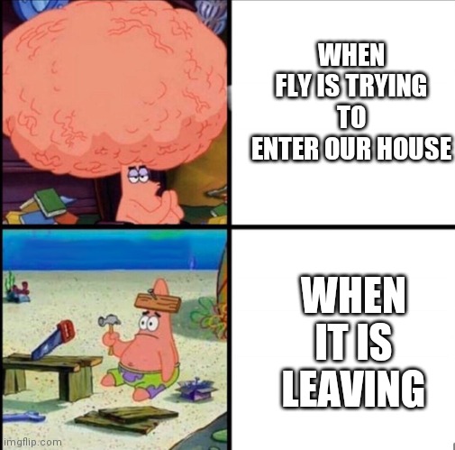 patrick big brain | WHEN FLY IS TRYING TO ENTER OUR HOUSE; WHEN IT IS LEAVING | image tagged in patrick big brain | made w/ Imgflip meme maker