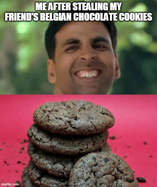 Guilt | ME AFTER STEALING MY FRIEND'S BELGIAN CHOCOLATE COOKIES | image tagged in sorry | made w/ Imgflip meme maker