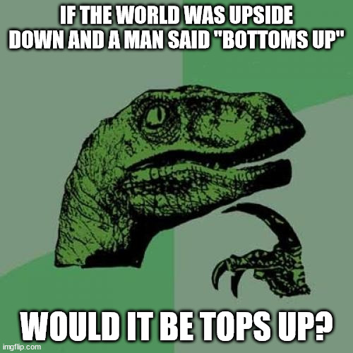 tops up | IF THE WORLD WAS UPSIDE DOWN AND A MAN SAID "BOTTOMS UP"; WOULD IT BE TOPS UP? | image tagged in memes,philosoraptor | made w/ Imgflip meme maker