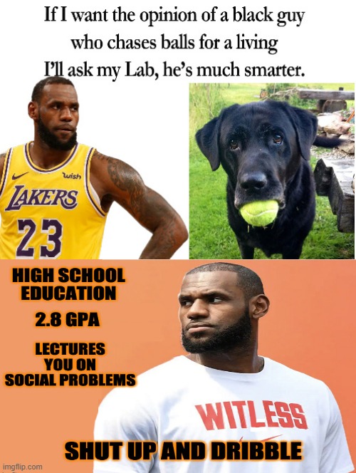 Shut up and dribble Moron Lebron! | image tagged in moron,idiots,stupid liberals,blm | made w/ Imgflip meme maker