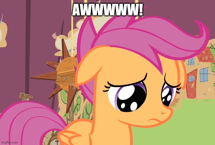 Aww, Scootaloo! (MLP) | AWWWWW! | image tagged in aww scootaloo mlp | made w/ Imgflip meme maker