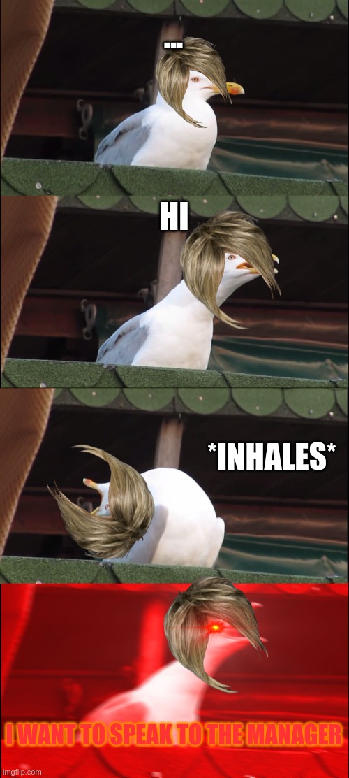 karen seagull | ... HI; *INHALES*; I WANT TO SPEAK TO THE MANAGER | image tagged in memes,inhaling seagull | made w/ Imgflip meme maker