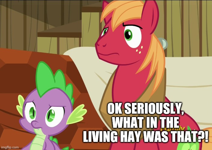 OK SERIOUSLY, WHAT IN THE LIVING HAY WAS THAT?! | made w/ Imgflip meme maker
