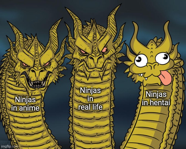 Three-headed Dragon | Ninjas in real life; Ninjas in hentai; Ninjas in anime | image tagged in three-headed dragon | made w/ Imgflip meme maker