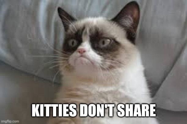 Grumpy cat | KITTIES DON'T SHARE | image tagged in grumpy cat | made w/ Imgflip meme maker