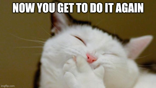 Laughing Cat | NOW YOU GET TO DO IT AGAIN | image tagged in laughing cat | made w/ Imgflip meme maker