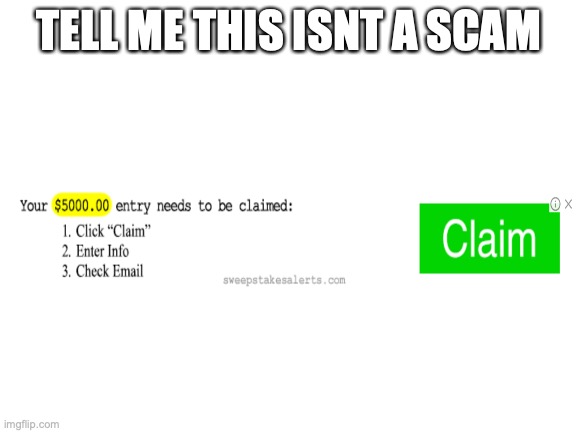 Blank White Template | TELL ME THIS ISNT A SCAM | image tagged in blank white template | made w/ Imgflip meme maker