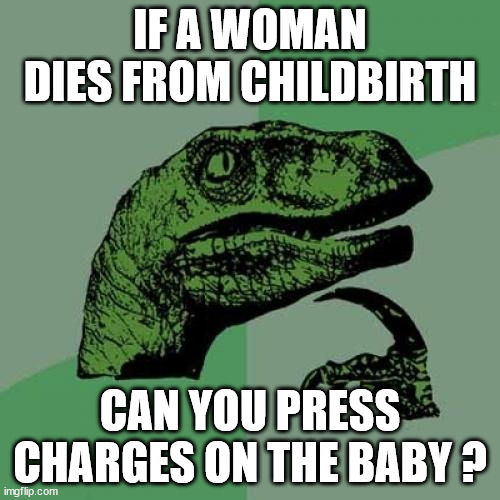 Philosoraptor | IF A WOMAN DIES FROM CHILDBIRTH; CAN YOU PRESS CHARGES ON THE BABY ? | image tagged in memes,philosoraptor | made w/ Imgflip meme maker