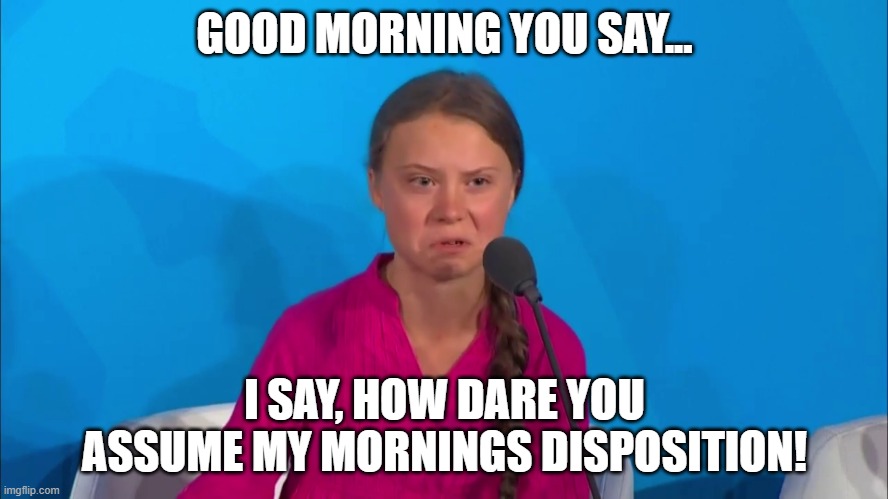"How dare you?" - Greta Thunberg | GOOD MORNING YOU SAY... I SAY, HOW DARE YOU ASSUME MY MORNINGS DISPOSITION! | image tagged in how dare you - greta thunberg,good morning,morning meme,memes,not my monday,how dare you | made w/ Imgflip meme maker