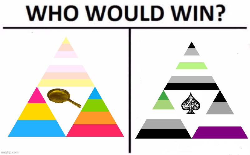 Who Would Win? | image tagged in memes,who would win,ace,pan,triforce | made w/ Imgflip meme maker
